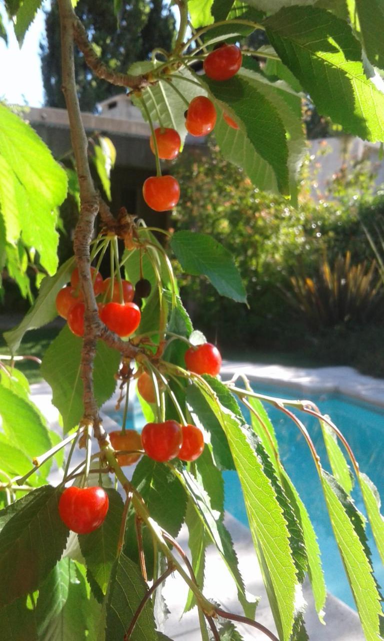 Casa Los Cerezos En Chacras De Coria Ngoại thất bức ảnh